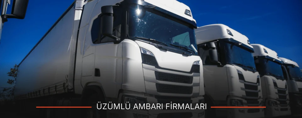 Üzümlü Ambarı Taşımacılık